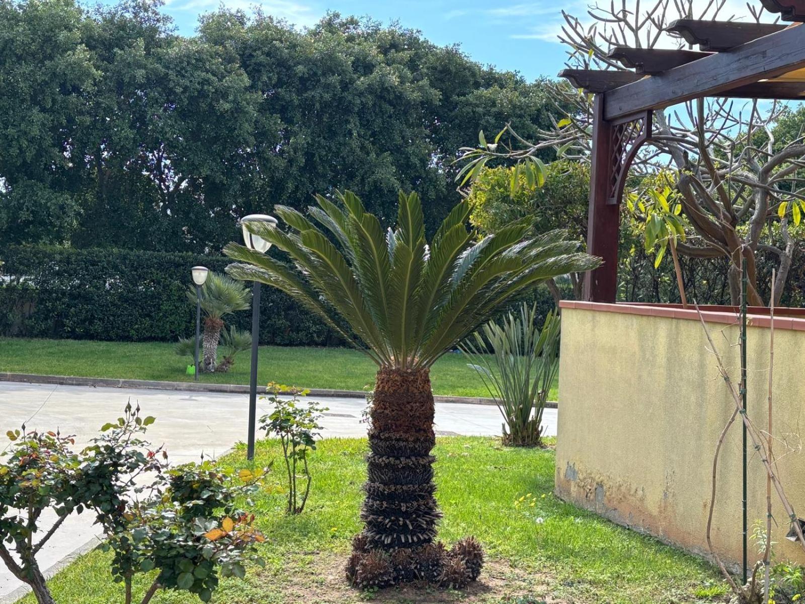 Acquamarina House Marina Di Ragusa Esterno foto