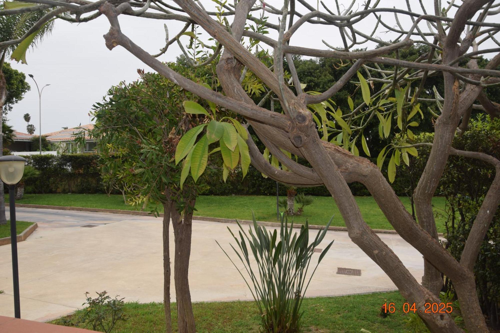 Acquamarina House Marina Di Ragusa Esterno foto